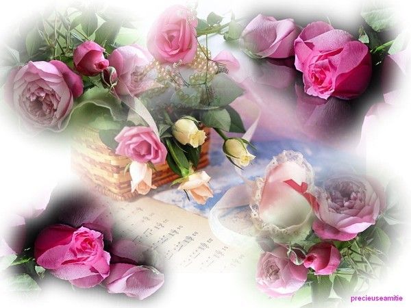 merci mon adorable noémie