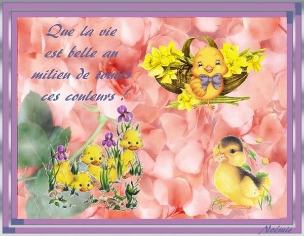 merci mon adorable noémie