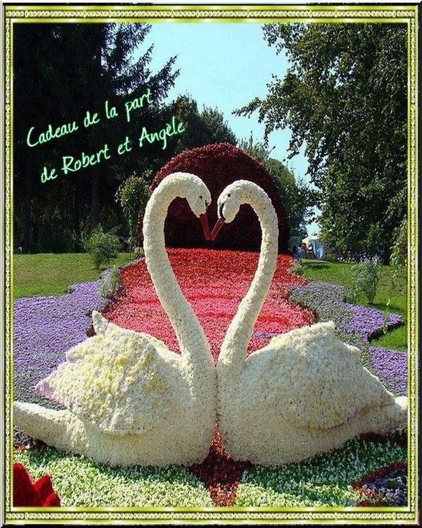 merci robert et angel