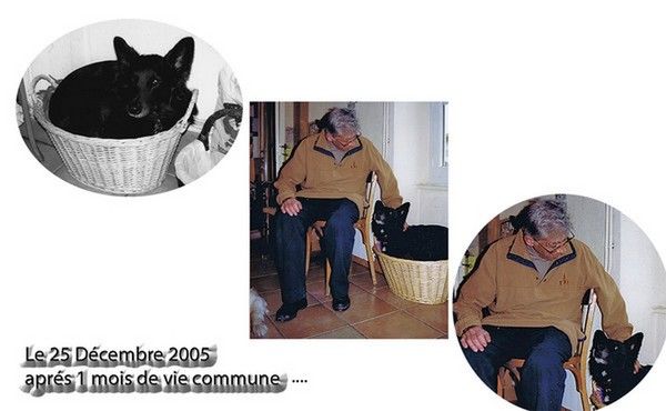 bonne vacance mon ami andre et gyps