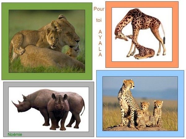 merci mon adorable noèmie