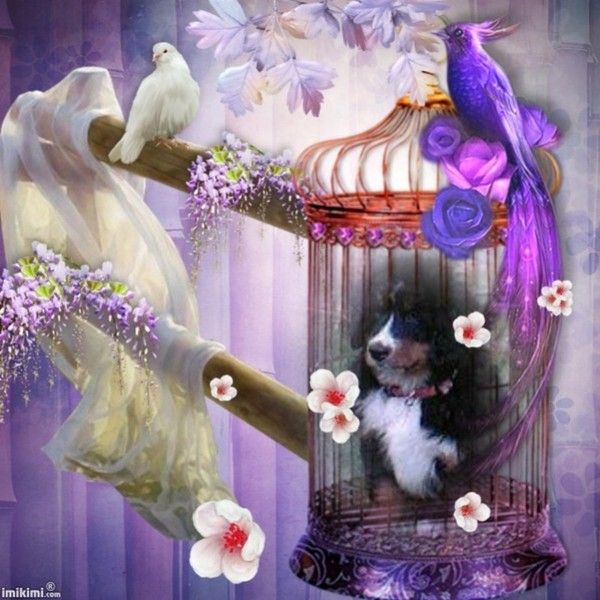 merci lena pour cette belle création