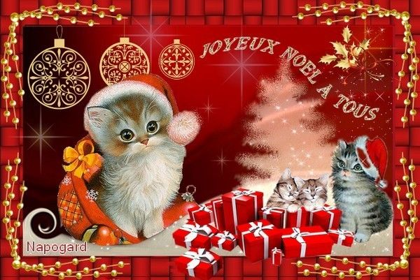 merci mon adorable napo