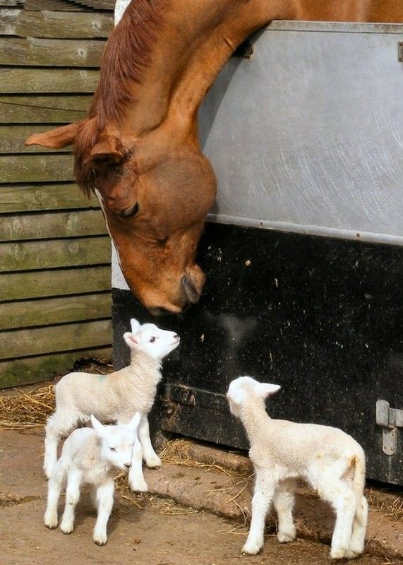 belle image de tendresse