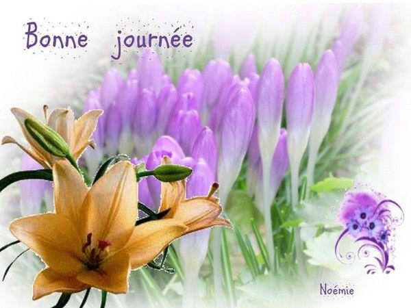 merci mon adorable noèmie