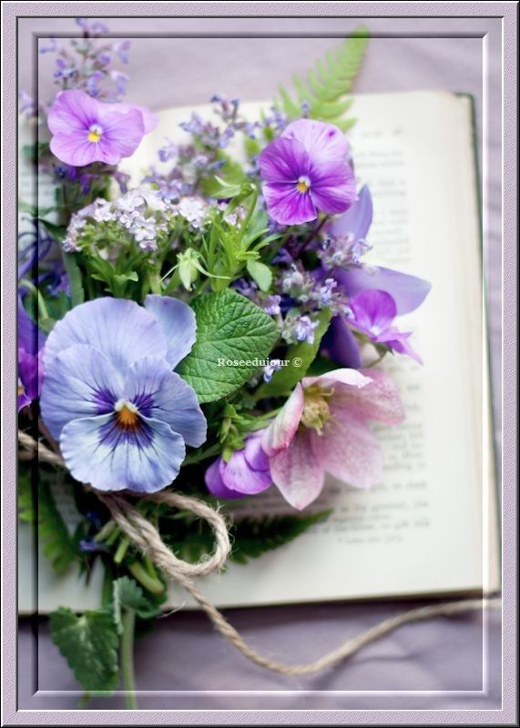 merci ma douce evelyne